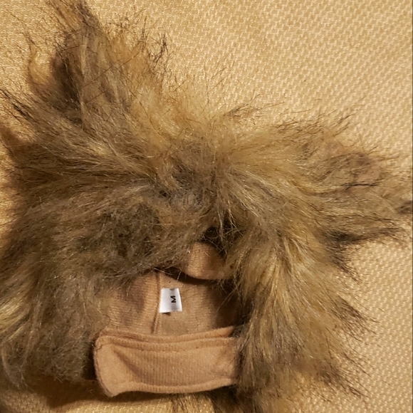 Funny and Adorable Dog/Pet Halloween Costume Werewolf Size Medium - Picture 2 of 6